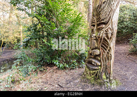 Visage sculpté Tribal en arbre, Tredegar House Country Park, Edinburgh, Ecosse, Royaume-Uni Banque D'Images