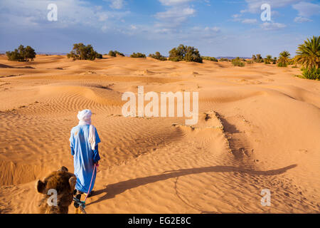 Homme Touareg menant un dromadaire dans le désert du Sahara, Maroc Banque D'Images