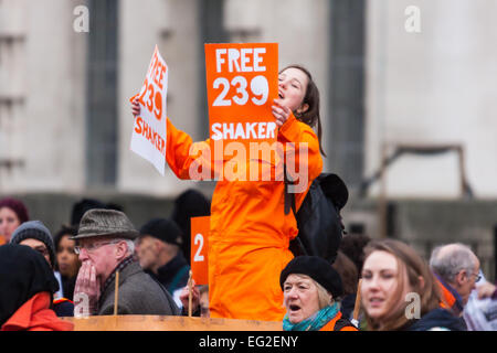 Londres, Royaume-Uni. 14 Février, 2015. Des dizaines de chaudière orange-suit clad mars des manifestants de la place du Parlement à Downing Street pour protester contre le maintien en détention à Guantanamo Bay de sujet britannique Shaker Amer, qui a été détenu sans inculpation pendant 13 ans. Crédit : Paul Davey/Alamy Live News Banque D'Images