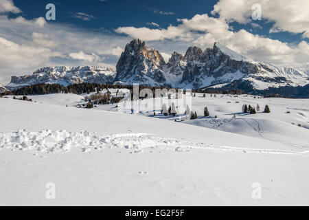 En hiver vue panoramique de Siusi Alpe di Siusi ou avec Sassolungo Langkofel ou massif dans l'arrière-plan, Dolomites, Alto Adige - Banque D'Images