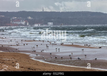 Pendant un blizzard de la mer et de la jetée de Sopot dans la distance. Banque D'Images