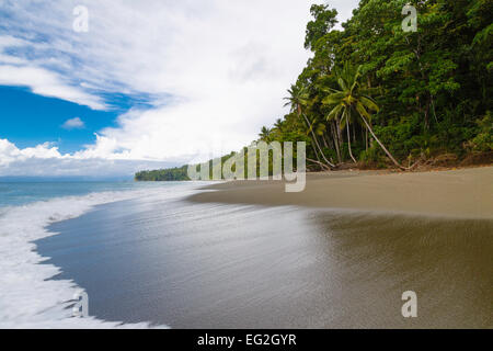 Tripical Plage, Parc national de Corcovado, péninsule d'Osa, au Costa Rica, Amérique Centrale Banque D'Images