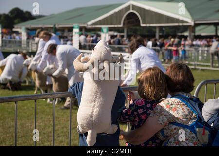 Sous soleil de l'été, la mère et 2 jeunes enfants, regarder les moutons de la concurrence au grand show du Yorkshire, England, UK. Amusant, comme garçon a sac à dos comme un ram ! Banque D'Images