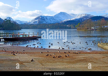 En partie gelés Derwentwater vu depuis le lancement moorings à Keswick, canards sur l'estran, la neige a couvert derrière, Cumbria Fells Banque D'Images