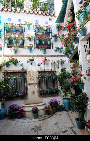 Cour intérieure pendant le Festival des patios (el Festival de Los Patios Cordobeses), Cordoue, Espagne Banque D'Images