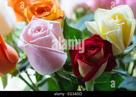 Bouquet de roses colorés assis sur un rebord de fenêtre Banque D'Images