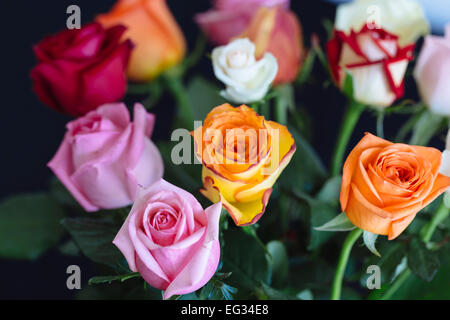 Bouquet de roses colorées contre surface sombre Banque D'Images