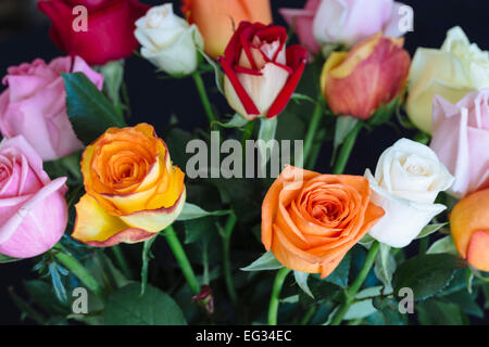 Bouquet de roses colorées contre surface sombre Banque D'Images