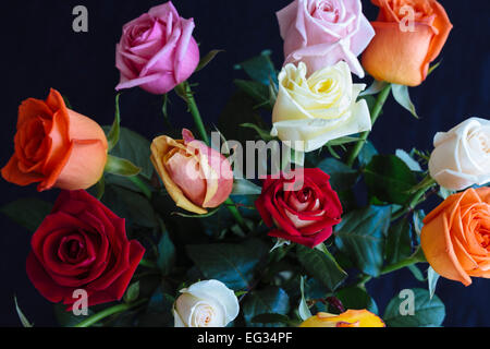 Bouquet de roses colorées contre surface sombre Banque D'Images