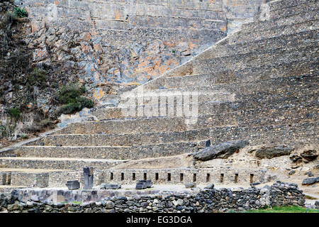 Terrasses agricoles, Ollantaytambo ruines Inca, Ollantaytambo, Urubamba, Pérou Banque D'Images