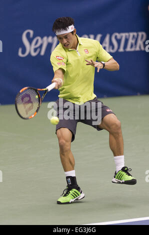 Memphis, TN, USA. Feb 15, 2015. Memphis, TN - 15 février : Kei Nishikori(JPN) en action ici bat Kevin Anderson (RSA) 6464 2015 à l'Open de Memphis à Memphis, Tennesse. Photographe Andrew Patron. Crédit : Andrew Patron/ZUMA/Alamy Fil Live News Banque D'Images