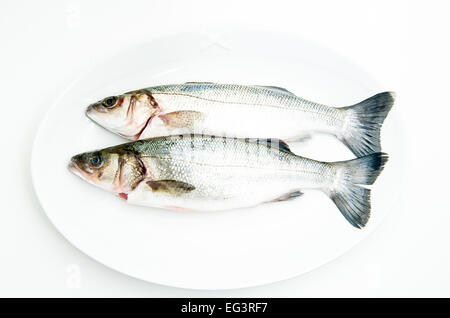 Couple de matières premières fraîches poisson bar sur plaque blanche et fond blanc Banque D'Images