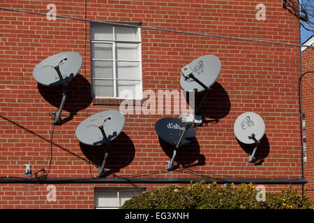 Une antenne parabolique orientable monté sur l'extérieur de l'immeuble - Virginia USA Banque D'Images