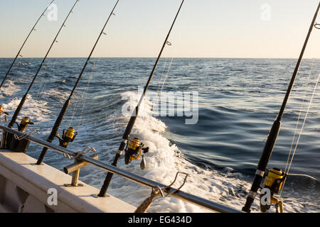 Partir à l'océan profond sur une charte de pêche Banque D'Images