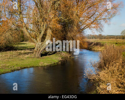 Vue sur la rivière dans la vallée d'Avon à Harbridge, Fordingbridge, Hampshire, England, UK Banque D'Images