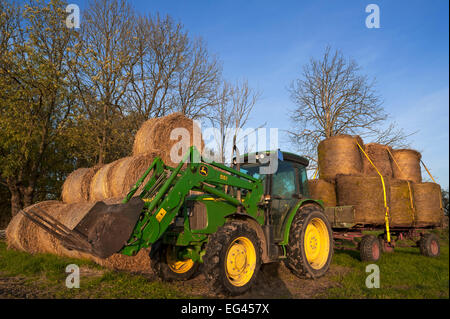 Tracteur avec des balles de paille rondes sur un champ et sur une remorque, Othenstorf, Mecklembourg-Poméranie-Occidentale, Allemagne Banque D'Images