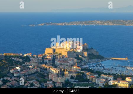 La ville de Calvi avec citadelle et plaisance, Haute-Corse, Corse, France Banque D'Images