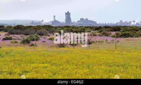 Aciéries, l'acier, Saldanha Saldanha, Western Cape, Afrique du Sud Banque D'Images