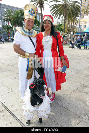 À l'investiture dans Fancy Dress Carnival dog show, Las Palmas de Gran Canaria, Îles Canray Banque D'Images