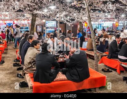 Hommes d'affaires profitant d'une fête hanami en plein air dans le parc Maruyama, Kyoto, pendant la saison des cerisiers en fleurs au printemps (Japon) Banque D'Images