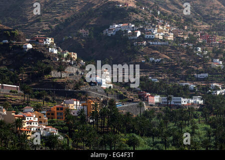 Île des dattiers (Phoenix canariensis), champs en terrasses, villages dans la région Valle Gran Rey, La Gomera, Canary Islands Banque D'Images