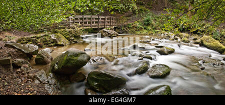 Stock Ghyll Force, Ambleside, Cumbria Lake District Banque D'Images