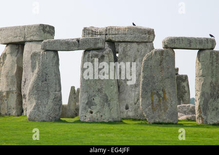 Pierres anciennes à Stonehenge, Wiltshire, Angleterre Banque D'Images