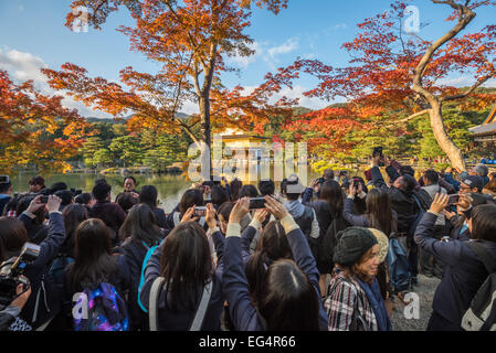 KYOTO, JAPON - 18 novembre, 2014 : foule touristique devant le pavillon d'or, haute saison, Kyoto, Japon Banque D'Images