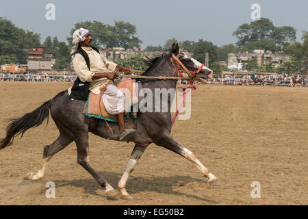 Horse Show, Sonepur Mela Banque D'Images