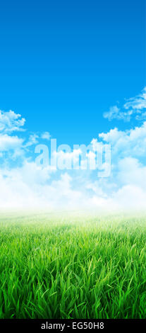 Résumé fond d'un champ d'herbe croît lentement sous le ciel bleu Banque D'Images