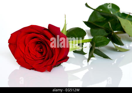 Rose rouge posé sur une table de cristal Photo Stock - Alamy