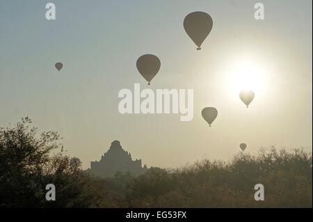 Dhammayangyi pagode est le plus grand temple de Bagan, temples antiques, dans le nord du Myanmar, Birmanie Banque D'Images