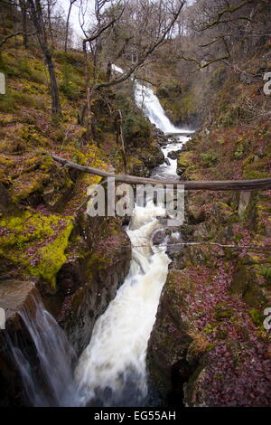 Caïn Pystyll Cascades, Coed Y Brenin Forest, Snowdonia, Banque D'Images