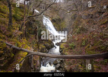 Caïn Pystyll Cascades, Coed Y Brenin Forest, Snowdonia, Banque D'Images