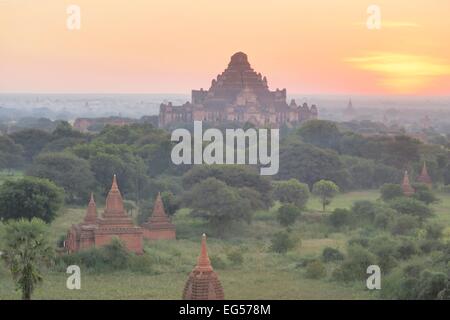 Dhammayangyi pagode est le plus grand temple de Bagan, temples antiques, dans le nord du Myanmar, Birmanie Banque D'Images