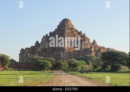 Dhammayangyi pagode est le plus grand temple de Bagan, temples antiques, dans le nord du Myanmar, Birmanie Banque D'Images