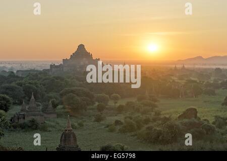 Dhammayangyi pagode est le plus grand temple de Bagan, temples antiques, dans le nord du Myanmar, Birmanie Banque D'Images