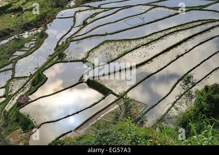 Patrimoine mondial de l'UNESCO célèbre dans les terrasses de riz de Banaue, près de Bangaan le nord de Luzon, Infugao province, Philippines. Banque D'Images