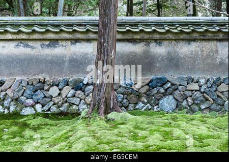 Le sol est recouvert d'une épaisse moquette de mousse dans les jardins boisés 14c du temple zen Saiho-ji (Koke-dera, le temple de la mousse), Kyoto, Japon Banque D'Images