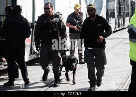 Jérusalem, Israël. Feb 17, 2015. Policiers répondre à une attaque terroriste simulation dans la cabine passagers des Tramway de Jérusalem de la recherche d'explosifs avec les chiens comme de nombreux services d'urgence sont percés. Credit : Alon Nir/Alamy Live News Banque D'Images