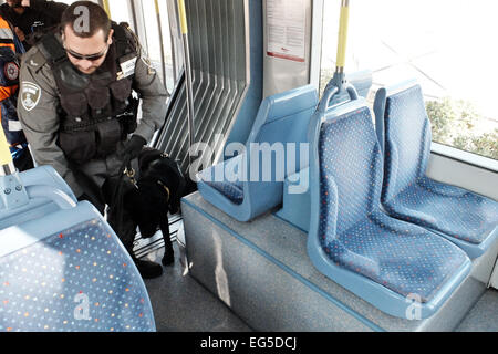 Jérusalem, Israël. Feb 17, 2015. Policiers répondre à une attaque terroriste simulation dans la cabine passagers des Tramway de Jérusalem de la recherche d'explosifs avec les chiens comme de nombreux services d'urgence sont percés. Credit : Alon Nir/Alamy Live News Banque D'Images