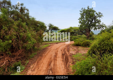 La masse rouge road et bush avec paysage de savane en Afrique. L'Ouest de Tsavo, au Kenya. Banque D'Images