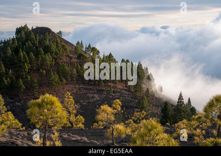 Comme les vents sont de grimper les pentes d'île des Canaries La Palma les condensats de l'humidité et vent commerce cumuli se développer. Banque D'Images