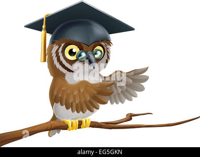 Une illustration d'un diplômé ou un enseignant dans un mortier owl hat diplômés conseil Banque D'Images