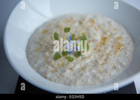 Porridge crémeux au miel de la bruine, atsina cress, garnir de fleurs servi dans un bol blanc. Banque D'Images