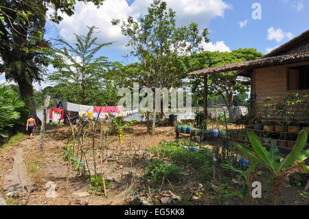 Bornéo : garçon marchant à travers jardin de maison dans un village, Abai 1,5 heure en bateau de Sandakan, Sabah, Bornéo Banque D'Images