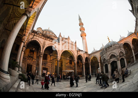 ISTANBUL, Turquie / Türkiye — la cour de la nouvelle mosquée (Yeni Cami) à Istanbul. Située dans le quartier animé d'Eminonu à Istanbul, à l'extrémité sud du pont de Galata, la Nouvelle Mosquée (ou Yeni Cami) date d'environ 1665. Sa grande salle de prière est décorée dans le style impérial ottoman distinctif. Banque D'Images