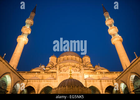 ISTANBUL, Turquie / Türkiye — la cour de la nouvelle mosquée (Yeni Cami) à Istanbul. Située dans le quartier animé d'Eminonu à Istanbul, à l'extrémité sud du pont de Galata, la Nouvelle Mosquée (ou Yeni Cami) date d'environ 1665. Sa grande salle de prière est décorée dans le style impérial ottoman distinctif. Banque D'Images