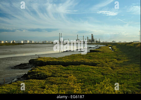 Bord de saltmarsh avec dépôt de stockage d'huile à l'arrière-plan, Southend-on-Sea, Essex, Angleterre, Royaume-Uni, février Banque D'Images