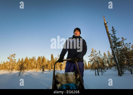 L'homme sur un chien en traîneau à travers un paysage d'hiver en Europe du nord, la Laponie finlandaise, la Finlande, Laponie, Europe Banque D'Images
